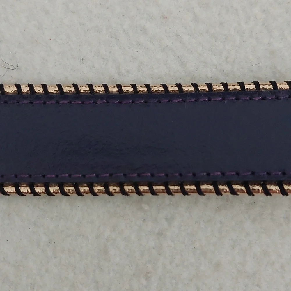 THE LIMITED Gold Buckle Purple Belt NWOT